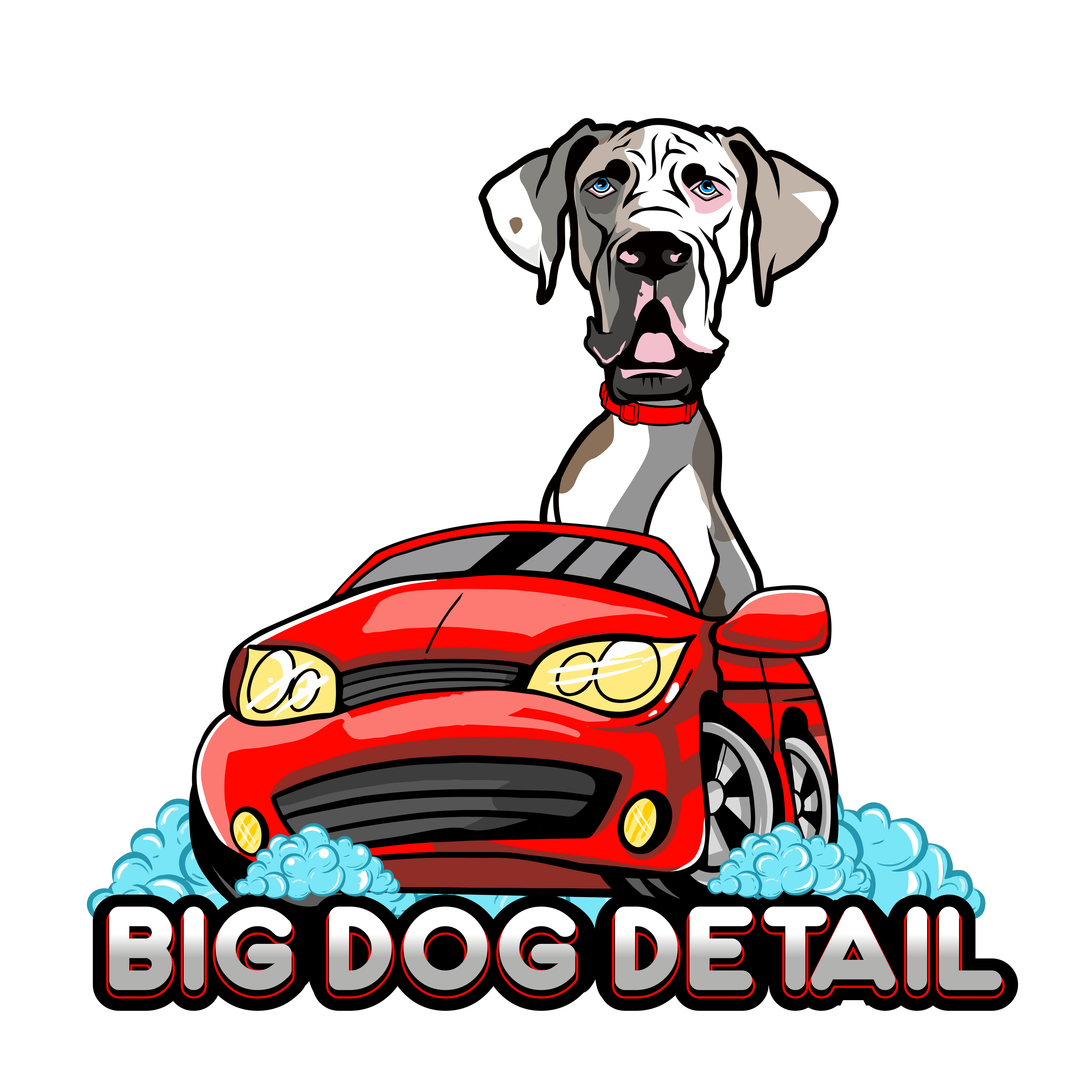 Big Dog Detail Premier Mobile Car Detailing in Chattanooga, TN